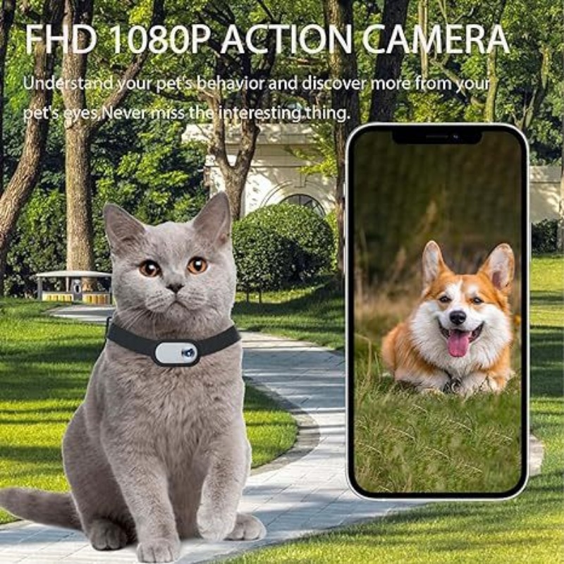 Caméra à collier pour animaux  - Outdoor Adventure Video avis et prix